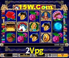 Experiência VIP 2Vpg