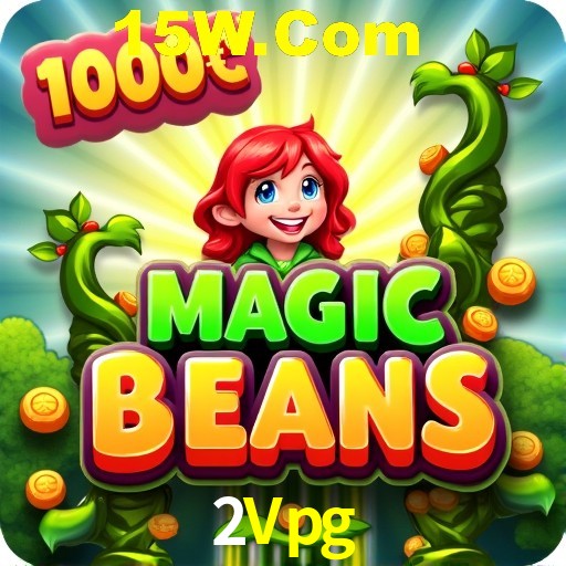 Security Systems 2Vpg