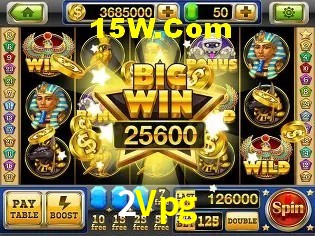 Interface Premium 2Vpg